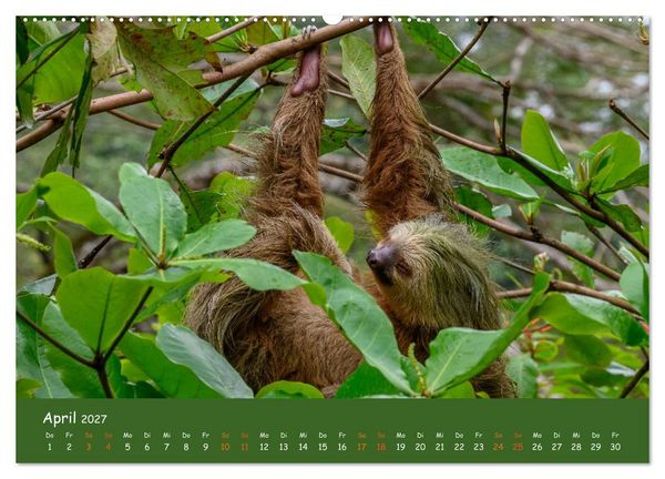Produktbild: Costa Rica - Naturparadies zwischen Karibik und Pazifik (Wandkalender 2027 DIN A2 quer), CALVENDO Monatskalender