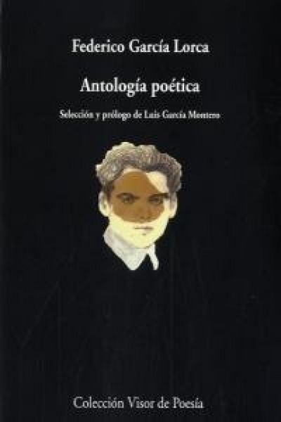 Produktbild: Antolog&iacute;a po&eacute;tica