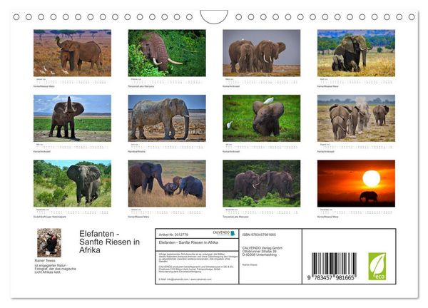 Produktbild: Elefanten - Sanfte Riesen in Afrika (Wandkalender 2026 DIN A4 quer), CALVENDO Monatskalender