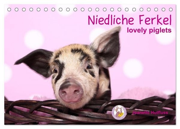 Produktbild: Niedliche Ferkel lovely piglets (Tischkalender 2027 DIN A5 quer), CALVENDO Monatskalender