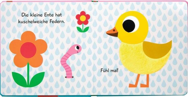 Produktbild: Mein F&uuml;hlbuch: Kleine Ente