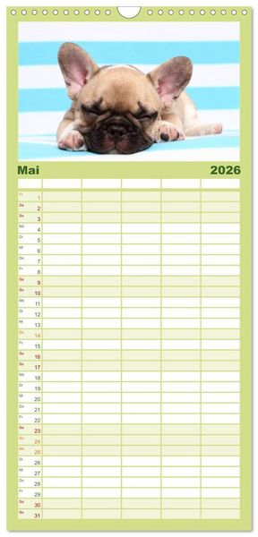 Produktbild: Familienplaner 2026 - Der Bully - Kalender Familienplaner hoch mit 5 Spalten (Wandkalender, 21 x 45 cm) CALVENDO