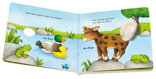 Produktbild: Ministeps: Was wackelt hier? Was zappelt hier?