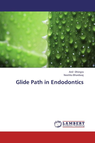 Produktbild: Glide Path in Endodontics