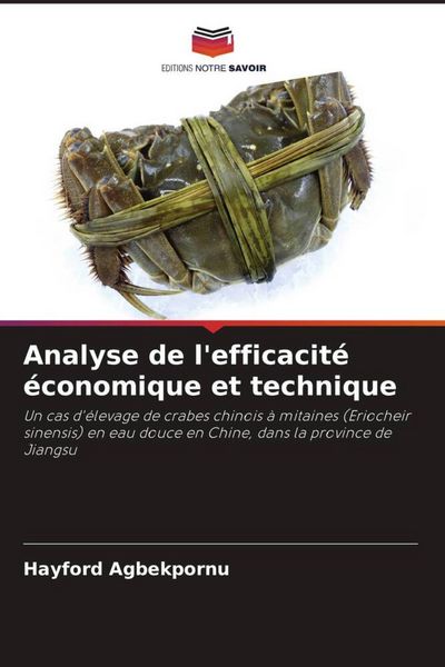 Produktbild: Analyse de l'efficacit&eacute; &eacute;conomique et technique