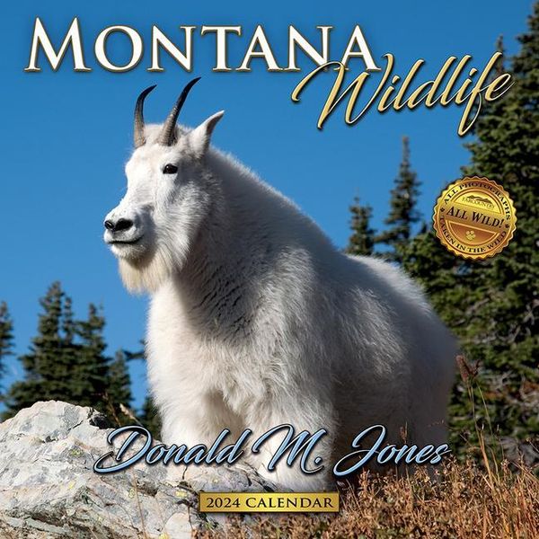 '2024 Montana Wildlife Wall Calendar' 'Bücher'
