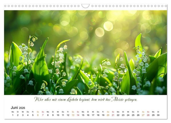 Produktbild: Freu Dich Motivations-Kalender (Wandkalender 2026 DIN A3 quer), CALVENDO Monatskalender