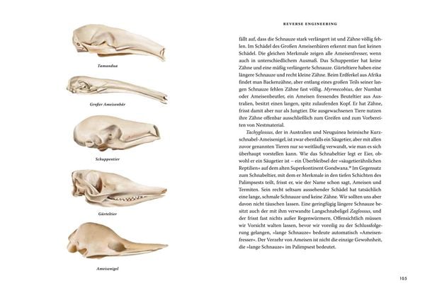 Produktbild: Das gro&szlig;e Buch der Evolution