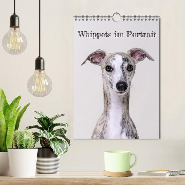 Produktbild: Whippets im Portrait (Wandkalender 2026 DIN A4 hoch), CALVENDO Monatskalender