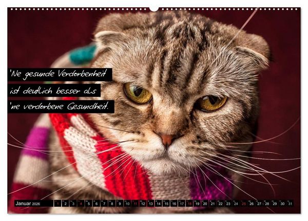 Produktbild: Der "philosophische" Katzenkalender 2026 (hochwertiger Premium Wandkalender 2026 DIN A2 quer), Kunstdruck in Hochglanz