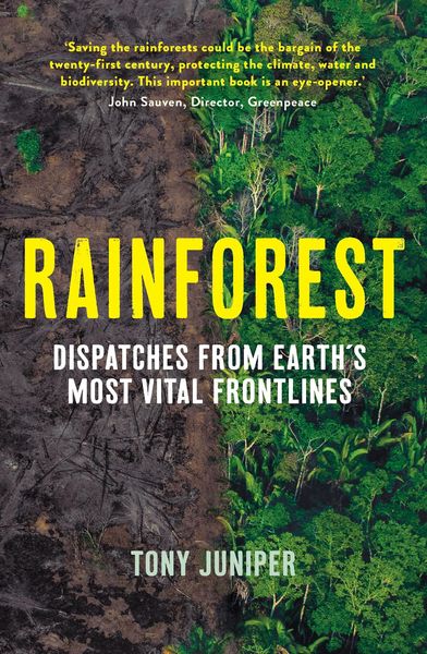 Produktbild: Rainforest