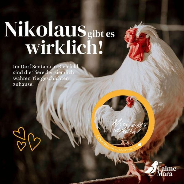 Produktbild: Der etwas andere Nikolaus