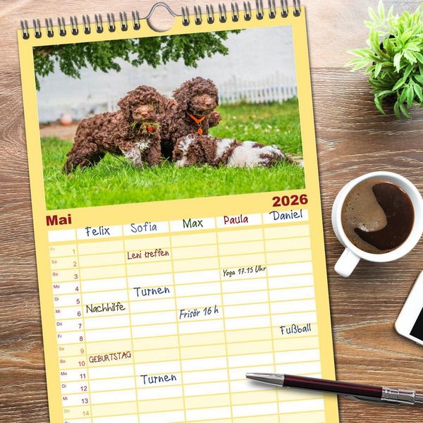 Produktbild: Familienplaner 2026 - Lagotto Romagnolo - der Tr&uuml;ffelhund Italiens mit 5 Spalten (Wandkalender, 21 x 45 cm) CALVENDO