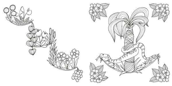 Produktbild: Tropical Flowers &ndash; Exotische Blumen- und Pflanzen-Motive ausmalen