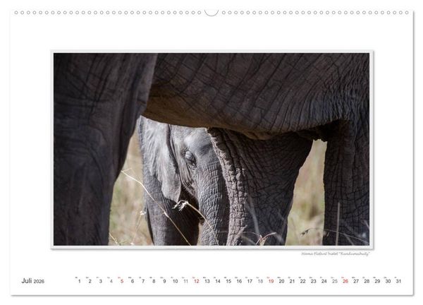 Produktbild: Emotionale Momente: Aus dem Leben der Elefanten. / CH-Version (hochwertiger Premium Wandkalender 2026 DIN A2 quer), Kunstdruck in Hochglanz
