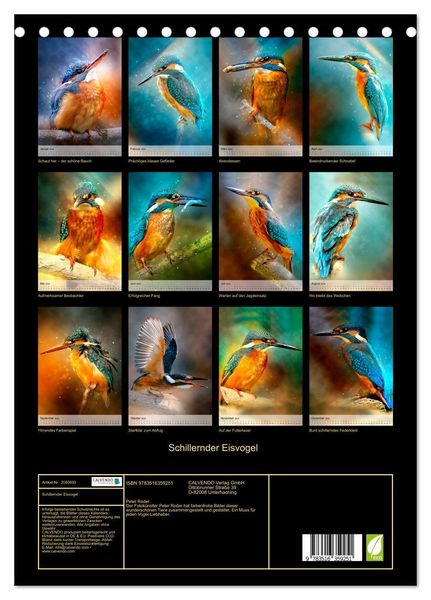 Produktbild: Schillernder Eisvogel (Tischkalender 2026 DIN A5 hoch), CALVENDO Monatskalender
