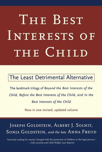 Produktbild: The Best Interests of the Child
