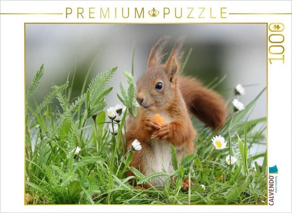 CALVENDO Puzzle Lucien in der Blumenwiese | 1000 Teile Lege-Größe 64x48cm Foto-Puzzle für glückliche Stunden