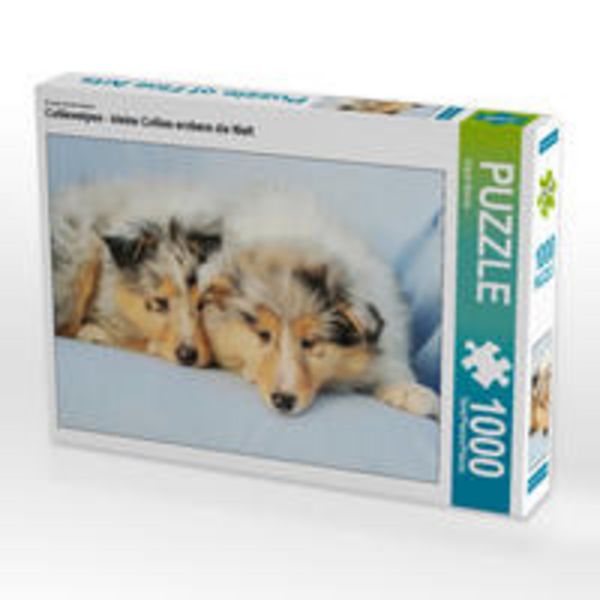 CALVENDO Puzzle Colliewelpen - kleine Collies erobern die Welt 1000 Teile Lege-Größe 64 x 48 cm Foto-Puzzle Bild von Sigrid Starick