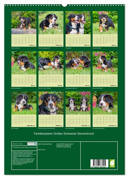 Produktbild: Familienplaner Gro&szlig;er Schweizer Sennenhund (hochwertiger Premium Wandkalender 2026 DIN A2 hoch), Kunstdruck in Hochglanz