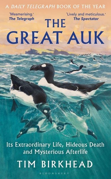 Produktbild: Great Auk