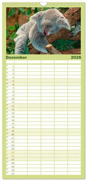 Produktbild: Familienplaner 2026 - Koala - kleiner Teddy mit 5 Spalten (Wandkalender, 21 x 45 cm) CALVENDO