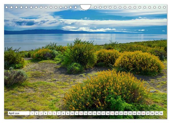 Produktbild: Zauberhaftes Argentinien (Wandkalender 2026 DIN A4 quer), CALVENDO Monatskalender