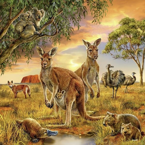 Puzzle Ravensburger Tiere der Erde 3 X 49 Teile' kaufen - Spielwaren