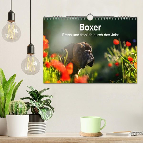 Produktbild: Boxer Frech und fr&ouml;hlich durch das Jahr (Wandkalender 2026 DIN A4 quer), CALVENDO Monatskalender
