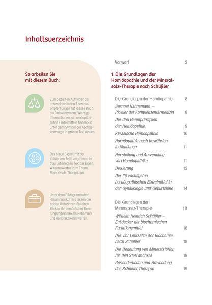 Produktbild: Praxisratgeber Wochenbett. Beschwerden lindern und vorbeugen.