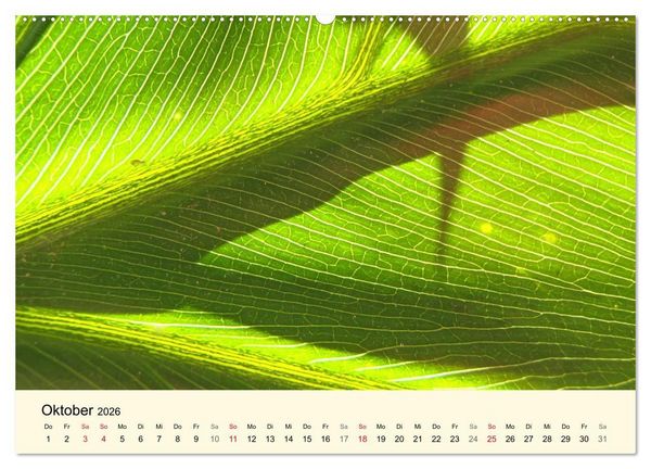Produktbild: Kraftquelle Gr&uuml;n (hochwertiger Premium Wandkalender 2026 DIN A2 quer), Kunstdruck in Hochglanz