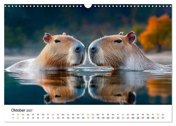 Produktbild: Capybara - die Ruhe als Lebensform (Wandkalender 2027 DIN A3 quer), CALVENDO Monatskalender