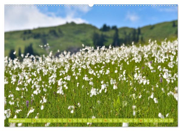 Produktbild: Ein Sommertag in Dam&uuml;ls (hochwertiger Premium Wandkalender 2026 DIN A2 quer), Kunstdruck in Hochglanz