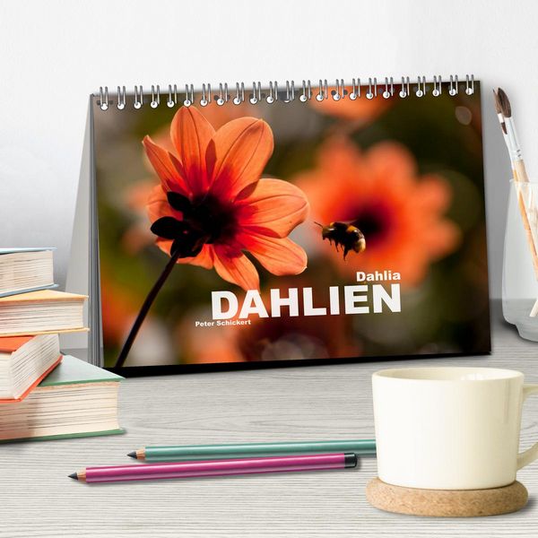 Produktbild: Dahlia - Dahlien (Tischkalender 2026 DIN A5 quer), CALVENDO Monatskalender