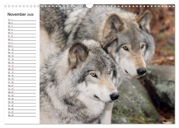 Produktbild: Alaska und Kanada (Wandkalender 2026 DIN A3 quer), CALVENDO Monatskalender