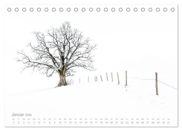 Produktbild: Astrein! - Der Baumkalender 2026 (Tischkalender 2026 DIN A5 quer), CALVENDO Monatskalender
