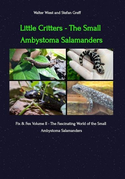 Produktbild: Little Critters - The Small Ambystoma Salamanders