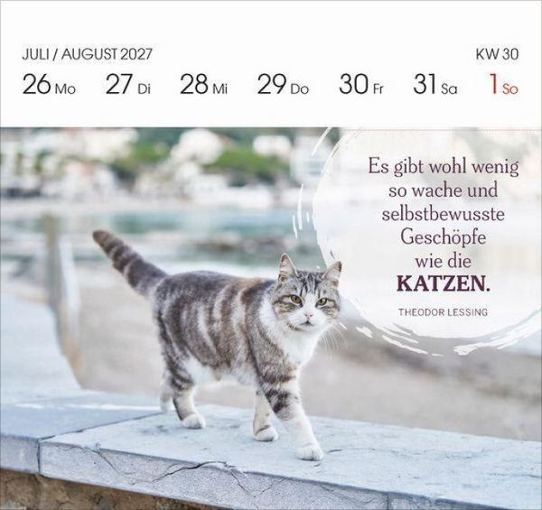 Produktbild: Katzen 2027