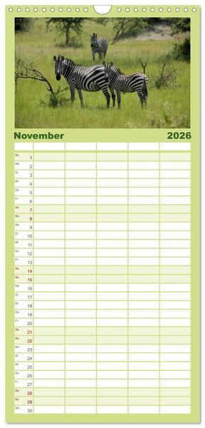 Produktbild: Familienplaner 2026 - Zebras - Faszination der Wildnis mit 5 Spalten (Wandkalender, 21 x 45 cm) CALVENDO