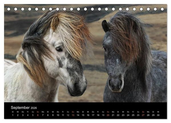 Produktbild: Island - wundervolle Weite (Tischkalender 2026 DIN A5 quer), CALVENDO Monatskalender