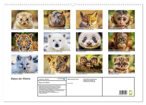 Produktbild: Babys der Wildnis (Wandkalender 2027 DIN A2 quer), CALVENDO Monatskalender