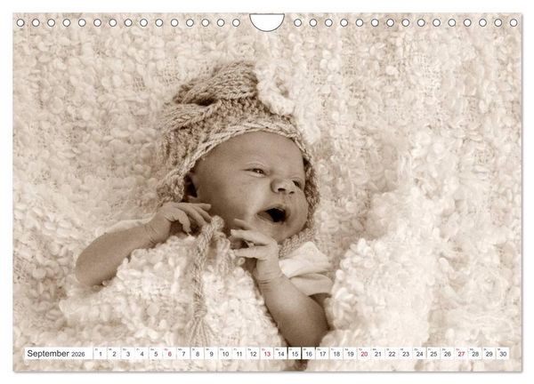 Produktbild: Babys - Willkommen im Leben (Wandkalender 2026 DIN A4 quer), CALVENDO Monatskalender