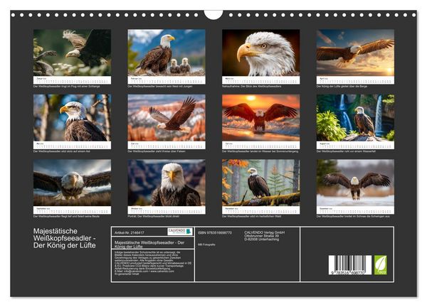 Produktbild: Majest&auml;tische Wei&szlig;kopfseeadler - Der K&ouml;nig der L&uuml;fte (Wandkalender 2026 DIN A3 quer), CALVENDO Monatskalender