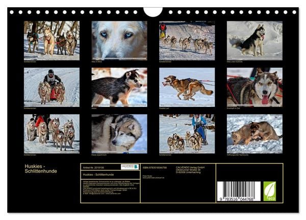 Produktbild: Huskies - Schlittenhunde (Wandkalender 2026 DIN A4 quer), CALVENDO Monatskalender