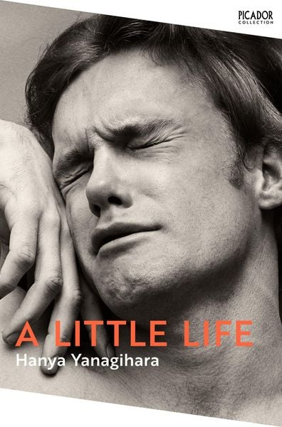 Produktbild: A Little Life