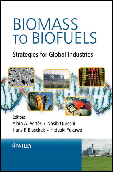 Produktbild: Biomass to Biofuels