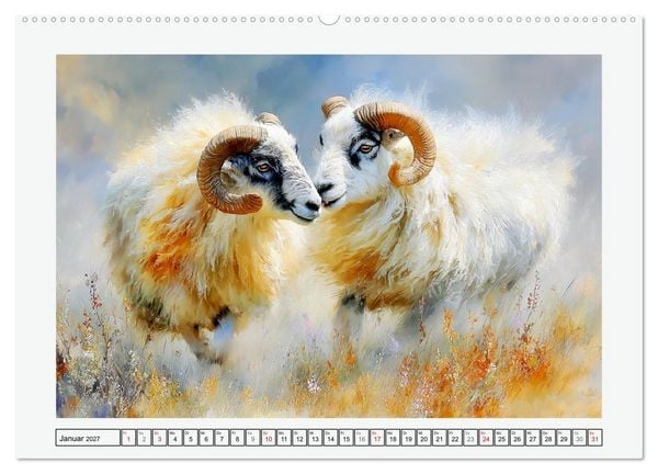 Produktbild: Schafe. Friedliche Tiere in sanften Naturmomenten (hochwertiger Premium Wandkalender 2027 DIN A2 quer), Kunstdruck in Hochglanz