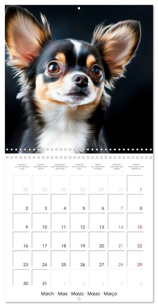 Produktbild: Cute Chihuahua (Wall Calendar 2026 12 &times; 12 Inch) CALVENDO 12 Month Wall Calendar
