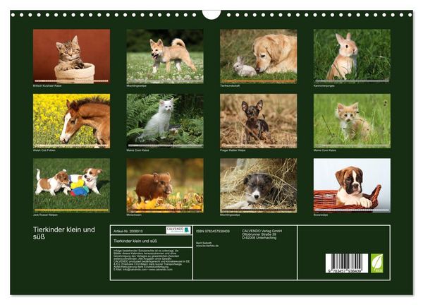 Produktbild: Tierkinder klein und s&uuml;&szlig; (Wandkalender 2026 DIN A3 quer), CALVENDO Monatskalender