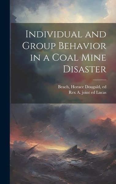 Produktbild: Individual and Group Behavior in a Coal Mine Disaster
